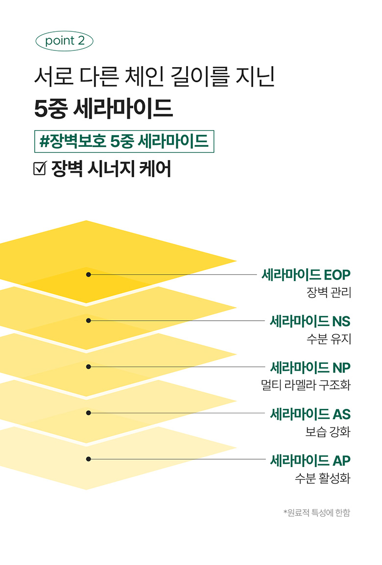 웹상세_09